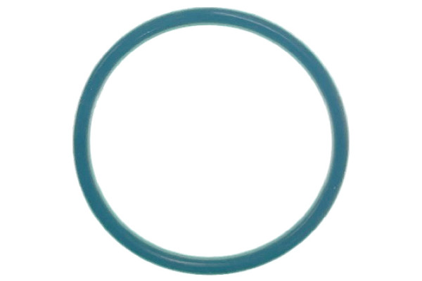 Кольцо уплотнительное D-27-026000 для кольца-насадки Кольцо уплотнительное D-27-026000 для кольца-насадки